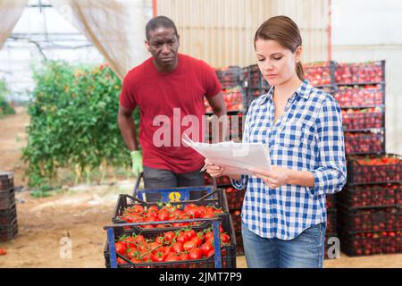 Frau Gewächshausbesitzerin, die mit Papieren im Gemüselager arbeitet Stockfoto