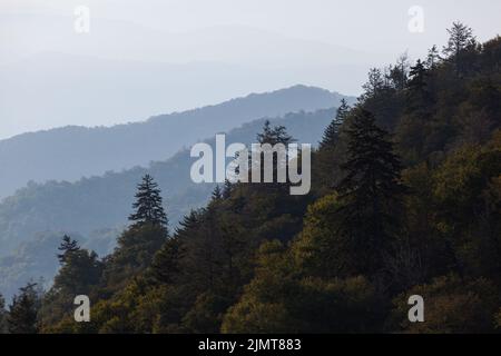 Neu entdeckte Gap Area in den Great Smoky Mountains an der Grenze zwischen North Carolina und Tennessee Stockfoto