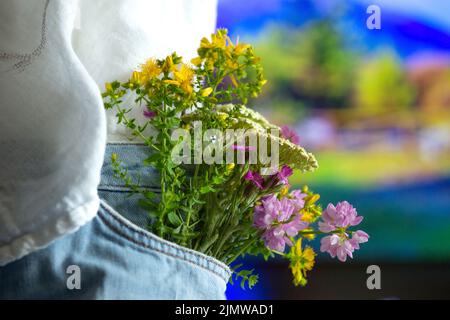 Schöne, zarte Blumen in der Vordertasche der Jeans Stockfoto