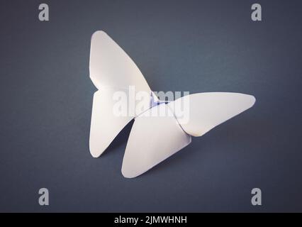 Weißes Papier Schmetterling Origami isoliert auf einem grauen Hintergrund Stockfoto