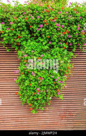 Riesiger grüner malerischer Park Stockfoto