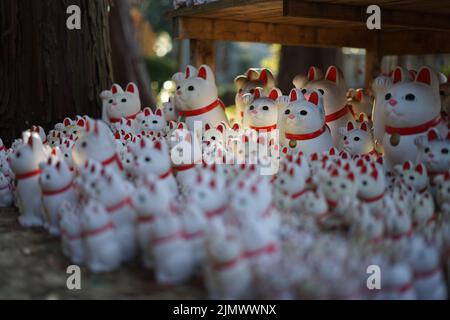 Das Bild wird einlädt (Tokyo Gotokuji) Stockfoto