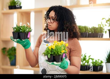 Lassen Sie mich hier sehen... eine attraktive junge Botanikerin, die zwei Pflanzensätze vergleicht, während sie in ihrem Floristen arbeitet. Stockfoto