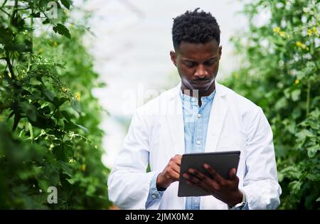 Das Aufzeichnen und Analysieren von Daten gehört zur Arbeit. Ein hübscher junger Botaniker, der ein digitales Tablet nutzt, während er im Freien in der Natur arbeitet. Stockfoto
