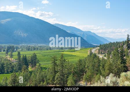 Hochwinkel Sommer Blick auf Bauernhöfe und Weinberge im Simikameen Tal von Bergen umgeben Stockfoto
