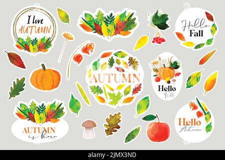 Set Sticker Hello Autumn mit Herbstillustration mit bunten Blättern und Herbsternte von Kürbis, Apfel, Viburnum und Pilzen Stock Vektor