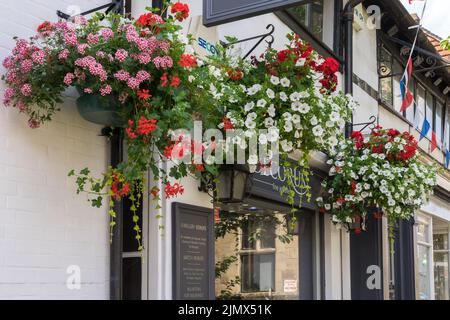 East Grinstead in voller Blüte Stockfoto