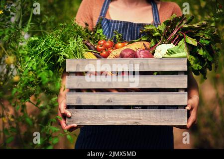 Mutter Natur wird immer sorgen. Eine unerkennbare Bäuerin trägt eine Kiste voller frischer Produkte auf ihrem Bauernhof. Stockfoto