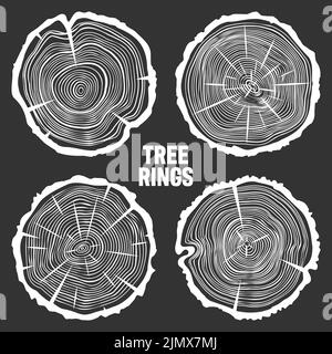 Weiße runde Baumstammschnitte mit Rissen, gesägte Kiefer- oder Eichenscheiben, Schnittholz. Sägeschnittholz, Holz. Holzstruktur mit Baumringen. Handgezeichnete Skizze Stock Vektor