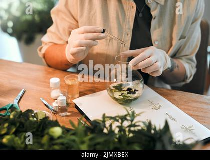 Flüssige Nährstoffe werden schneller von Pflanzen aufgenommen. Ein nicht erkennbarer Botaniker fügt einer Pflanze auf Wasserbasis einen flüssigen Nährstoff in einem Glasbehälter hinzu. Stockfoto