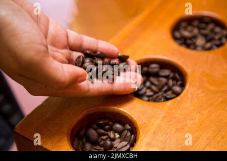 Nahaufnahme der weiblichen Hand mit Kaffeebohnen Stockfoto