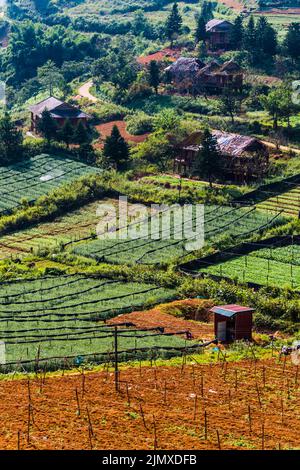 Kleine Landwirtschaft in Sapa in der Provinz Lao Cai im Nordwesten Vietnams Stockfoto