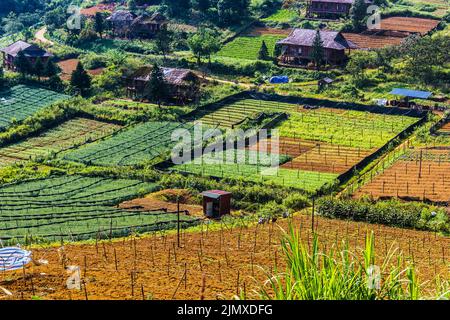 Kleine Landwirtschaft in Sapa in der Provinz Lao Cai im Nordwesten Vietnams Stockfoto