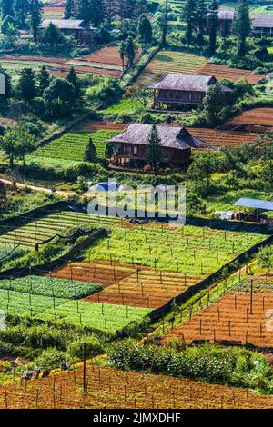 Kleine Landwirtschaft in Sapa in der Provinz Lao Cai im Nordwesten Vietnams Stockfoto