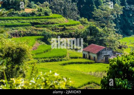 Landschaftliche Ansicht der Provinz Ha Giang Stockfoto