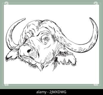 Handgezeichneter Büffel im Skizzenstil, isoliert auf weißem Hintergrund. Vektorgrafik. Stock Vektor