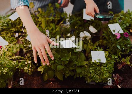 Sie haben eine von jeder Art. Zwei unerkennbare junge Geschwister, die Pflanzen mit Plakaten beschriften, die zu Hause Zeichnungen darauf haben. Stockfoto