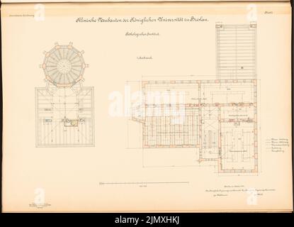 Diestel Georg (1854-1926), Universität, Breslau. Medizinische Institute in der Maxstraße. Pathologisches Institut (1890-1892): Grundriß 1: 100. Lithographie auf Papier, 49,9 x 69 cm (einschließlich Scankanten) Stockfoto