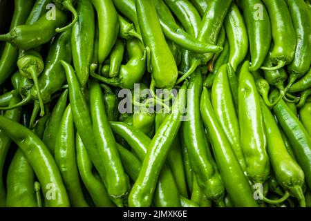 Rohe grüne Bio-Serrano-Paprika. Grüne Chilischoten Stockfoto