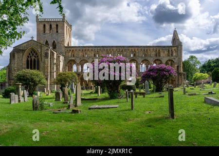 Blick auf die Ruinen und den Friedhof der Augustiner Jedburgh Abbey im Süden Schottlands Stockfoto