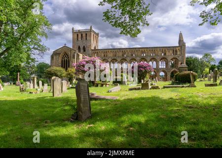 Blick auf die Ruinen und den Friedhof der Augustiner Jedburgh Abbey im Süden Schottlands Stockfoto