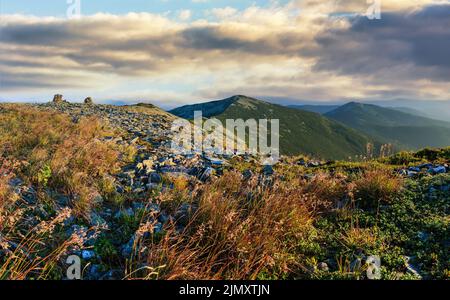 Sommer Sonnenaufgang Karpaten-Gipfel vom steinigen Gipfel des Ihrovets Mount (Gorgany, Ukraine). Stockfoto