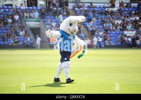 Peterborough, Großbritannien. 06. August 2022. Peter Burrows beim Peterborough United gegen Morecambe, EFL League One Match, im Weston Homes Stadium, Peterborough, Cambridgeshire. Kredit: Paul Marriott/Alamy Live Nachrichten Stockfoto