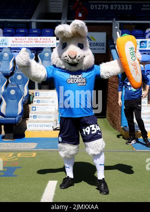 Peterborough, Großbritannien. 06. August 2022. Peter Burrows beim Peterborough United gegen Morecambe, EFL League One Match, im Weston Homes Stadium, Peterborough, Cambridgeshire. Kredit: Paul Marriott/Alamy Live Nachrichten Stockfoto