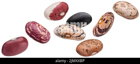 Kidney Beans Sammlung, verschiedene Arten von Hülsenfrüchten isoliert auf weißem Hintergrund Stockfoto