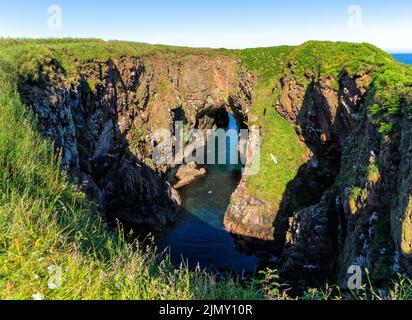 Eine Landschaftsansicht der Bullers of Buchan Sea Cave und Doline mit vielen Vögeln, die auf den Klippen nisten Stockfoto