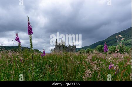 Blick auf die Ruinen des historischen Kilchurn Castle bei Dalmally mit einer bunten Wildblumenwiese im Vorland Stockfoto