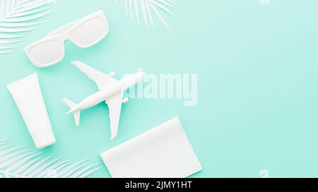 Kleines Spielzeug Flugzeug mit Sonnenbrille Palmblätter Stockfoto