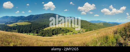 Bergdorf. Sommerlandschaft mit Tannenwald am Hang (Karpaten, Ukraine). Stockfoto