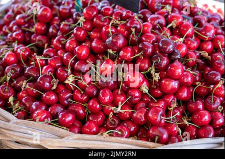 Neue Saison von reifen roten süßen Kirschen Sommerfrüchte, Kirsche zum Verkauf auf dem Bauernmarkt Stockfoto