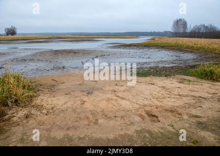 Sandstrand an einem kleinen ausgetrocknten Waldfluss an einem Herbstabend Stockfoto