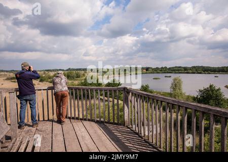 Auf dem Aussichtsturm im Naturschutzgebiet Rieselfelder bei Münster, europäisches Vogelschutzgebiet auf dem Gebiet eines ehemaligen Wastwauareals Stockfoto