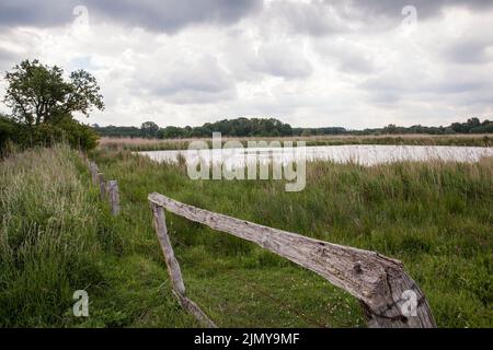 Naturschutzgebiet Rieselfelder bei Münster, Europäisches Vogelschutzgebiet auf dem Gebiet eines ehemaligen Bewässerungsgebietes für Abwasser, Nordrhein-Westfalen, Deutschland Stockfoto