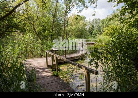 Naturschutzgebiet Rieselfelder bei Münster, Europäisches Vogelschutzgebiet auf dem Gebiet eines ehemaligen Bewässerungsgebietes für Abwasser, Nordrhein-Westfalen, Deutschland Stockfoto