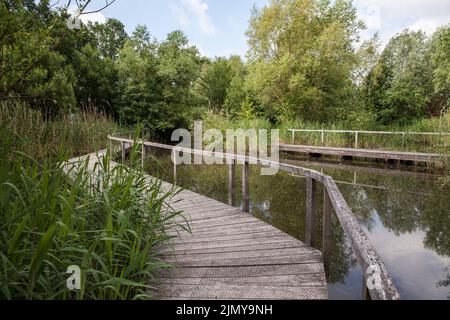 Naturschutzgebiet Rieselfelder bei Münster, Europäisches Vogelschutzgebiet auf dem Gebiet eines ehemaligen Bewässerungsgebietes für Abwasser, Nordrhein-Westfalen, Deutschland Stockfoto