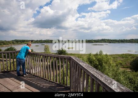 Auf dem Aussichtsturm im Naturschutzgebiet Rieselfelder bei Münster, europäisches Vogelschutzgebiet auf dem Gebiet eines ehemaligen Wastwauareals Stockfoto