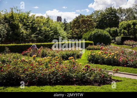 Der Rosengarten von Fort X, ein Teil des ehemaligen inneren Festungsrings, im Hintergrund die Agnes-Kirche, Köln, Deutschland. Der Rosengarten am Fort X, Stockfoto