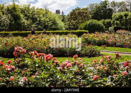 Der Rosengarten von Fort X, ein Teil des ehemaligen inneren Festungsrings, im Hintergrund die Agnes-Kirche, Köln, Deutschland. Der Rosengarten am Fort X, Stockfoto