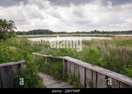 Naturschutzgebiet Rieselfelder bei Münster, Europäisches Vogelschutzgebiet auf dem Gebiet eines ehemaligen Bewässerungsgebietes für Abwasser, Nordrhein-Westfalen, Deutschland Stockfoto