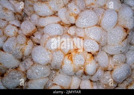 Extreme Nahaufnahme der Oberfläche eines Reiskuchen Stockfoto