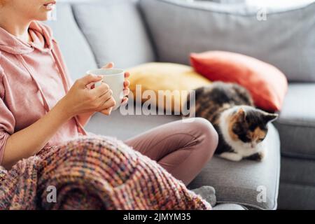 Unkenntliche Frau im Karo, die heißen Tee trinkt und Filme gucken, Fernseher mit bunten Katzen auf dem Sofa zu Hause. Gemütlich und komfortabel Winter, Herbst w Stockfoto