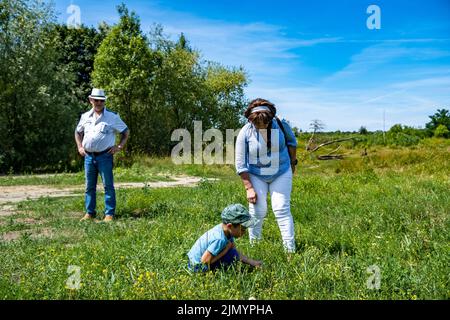 Eine Frau und ein Kind, die an einem sonnigen Tag in der Nähe der Bernata-Straße auf der Suche nach Insekten im hohen grünen Gras und Unkraut sind Stockfoto