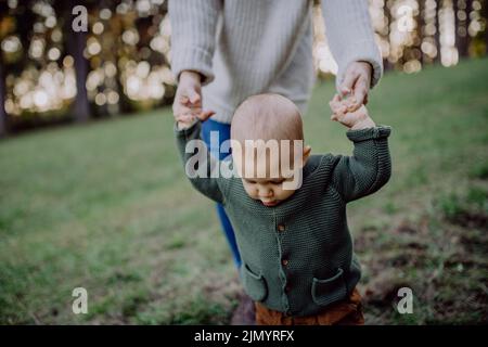 Mutter hält beim Gehen in der Natur die Hände ihres kleinen Sohnes, das Konzept der ersten Schritte des Babys. Stockfoto