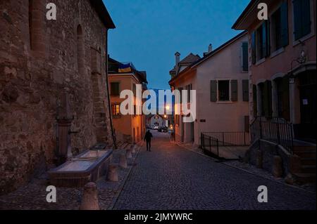 Die Landschaft von Saint-Saphorin bei Nacht. Das Dorf liegt im Schweizer Kanton Waadt, am Ufer des Genfer Sees (Lac Leman), im Bezirk Stockfoto