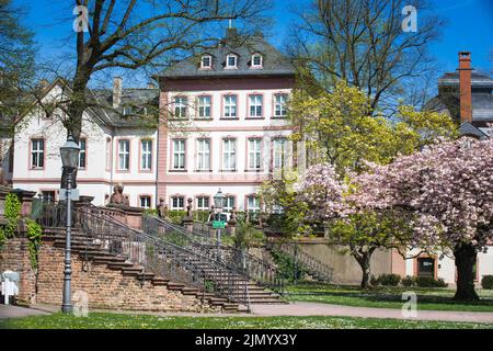 Hoechst, kleines Dorf in der Nähe von Frankfurt, Deutschland. Bolongaro Palast, Rathaus Stockfoto