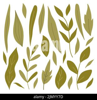 Set aus verschiedenen grünen Blättern und Zweigen in verschiedenen Formen. Vektorgrafik in handgezeichneter, flacher Form. Perfekt für Karten, Logo, Dekorationen Stock Vektor